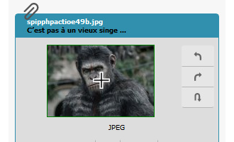 Insérer des images dans un article